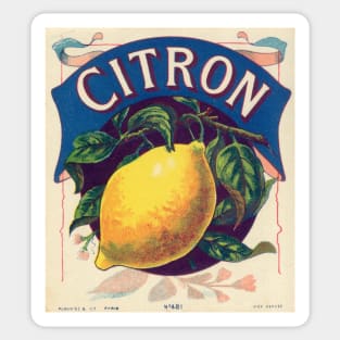 Retro poster - pub - vintage - Lemon - Fruit - Sticker